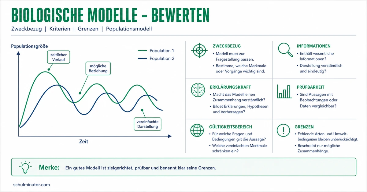 Biologische Modelle bewerten: Kriterien und Grenzen