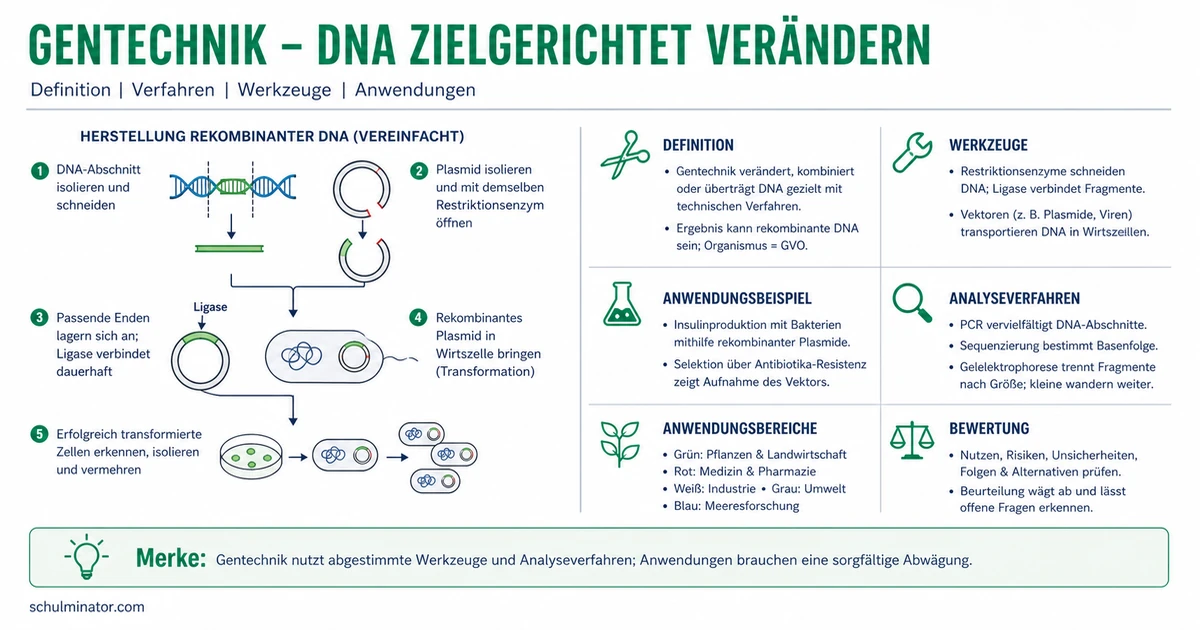 Gentechnik einfach erklärt: Methoden und Bewertung
