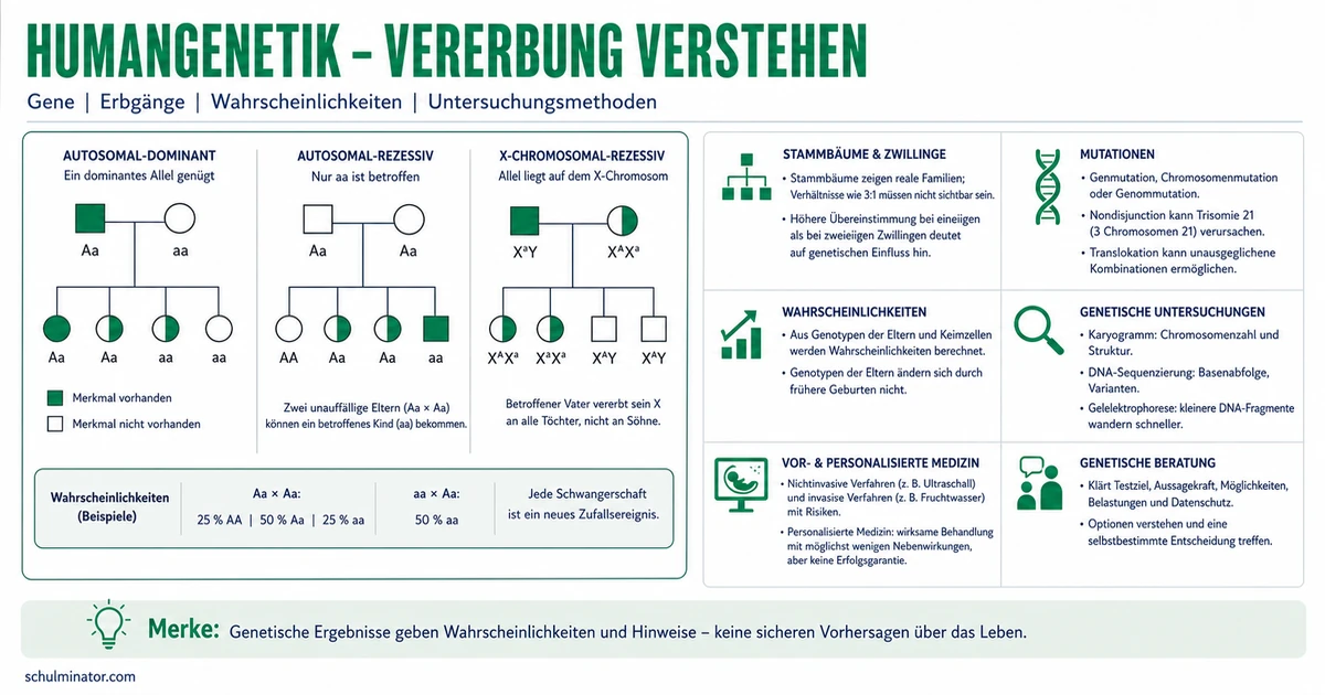 Humangenetik: Erbgänge, Gentests und Beratung