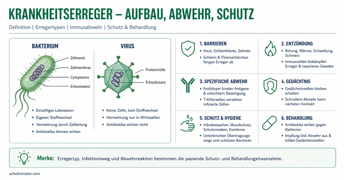 Krankheitserreger: Bakterien und Viren verstehen