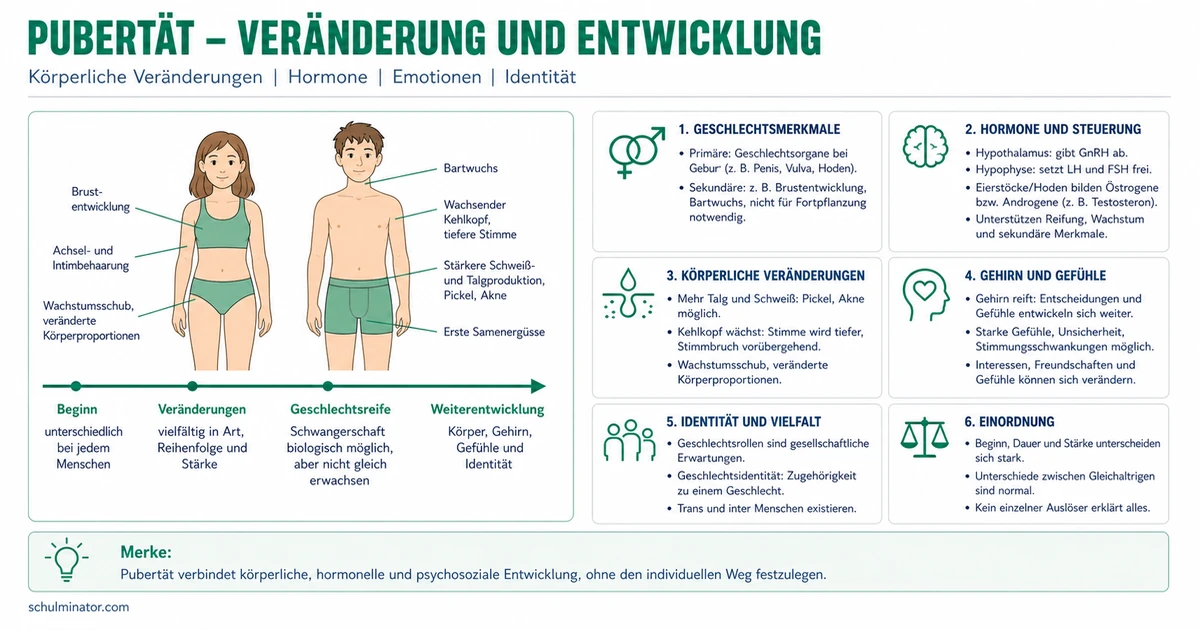 Pubertät: Körper, Gefühle und Hormone verstehen