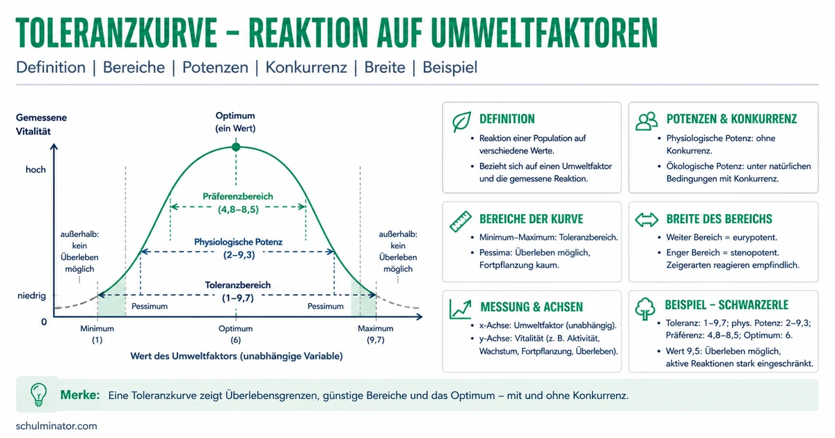 Toleranzkurve einfach erklärt und sicher deuten