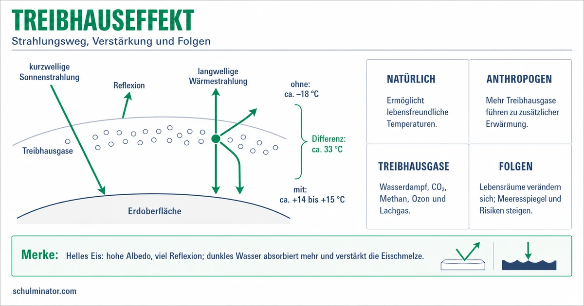 Treibhauseffekt in der Biologie einfach erklärt
