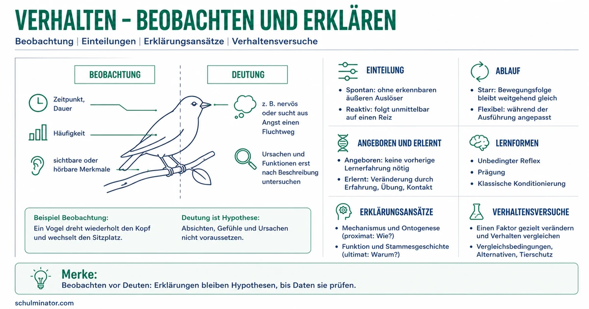 Verhalten in der Biologie einfach erklärt