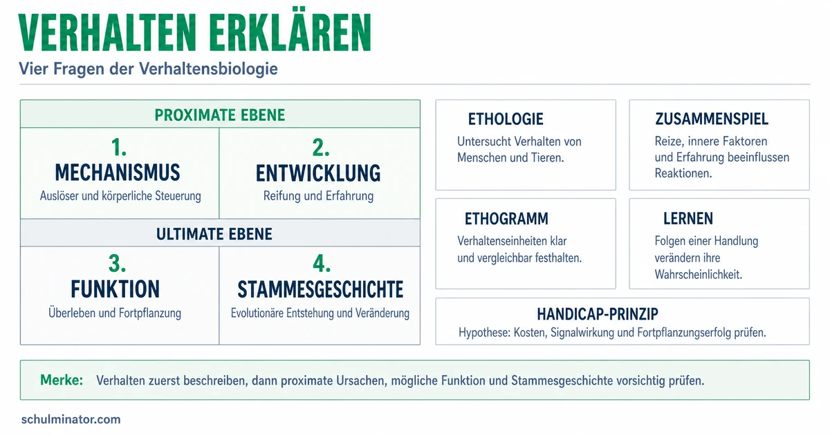 Verhaltensbiologie: Verhalten richtig erklären