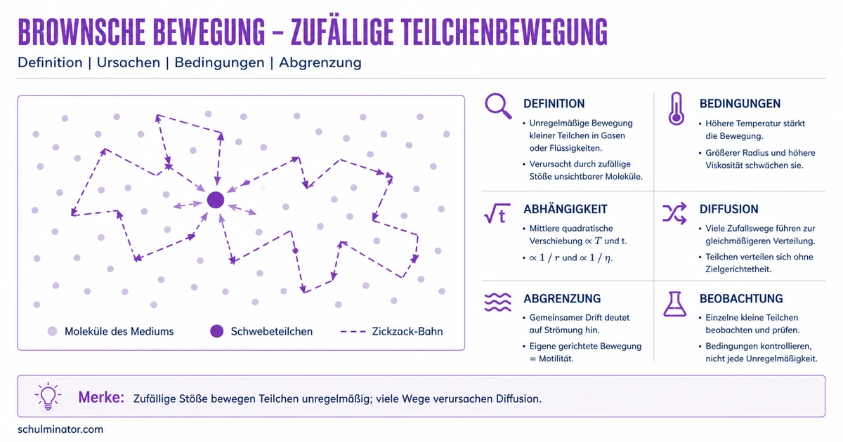 Brownsche Bewegung: Teilchenstöße verstehen