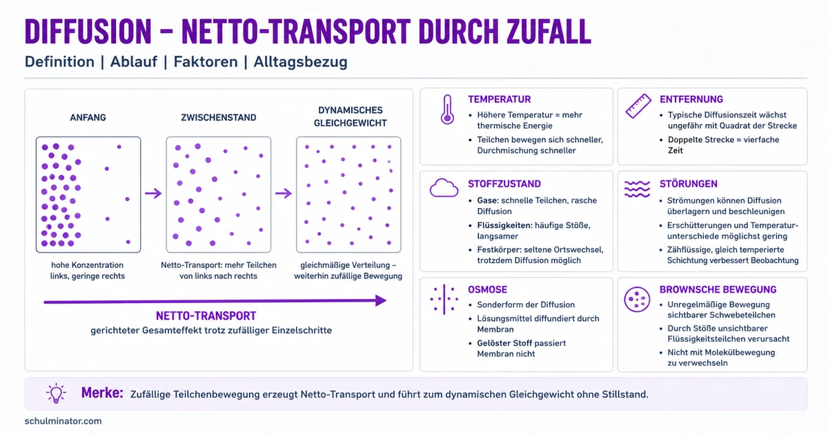 Diffusion einfach erklärt: Teilchen in Bewegung