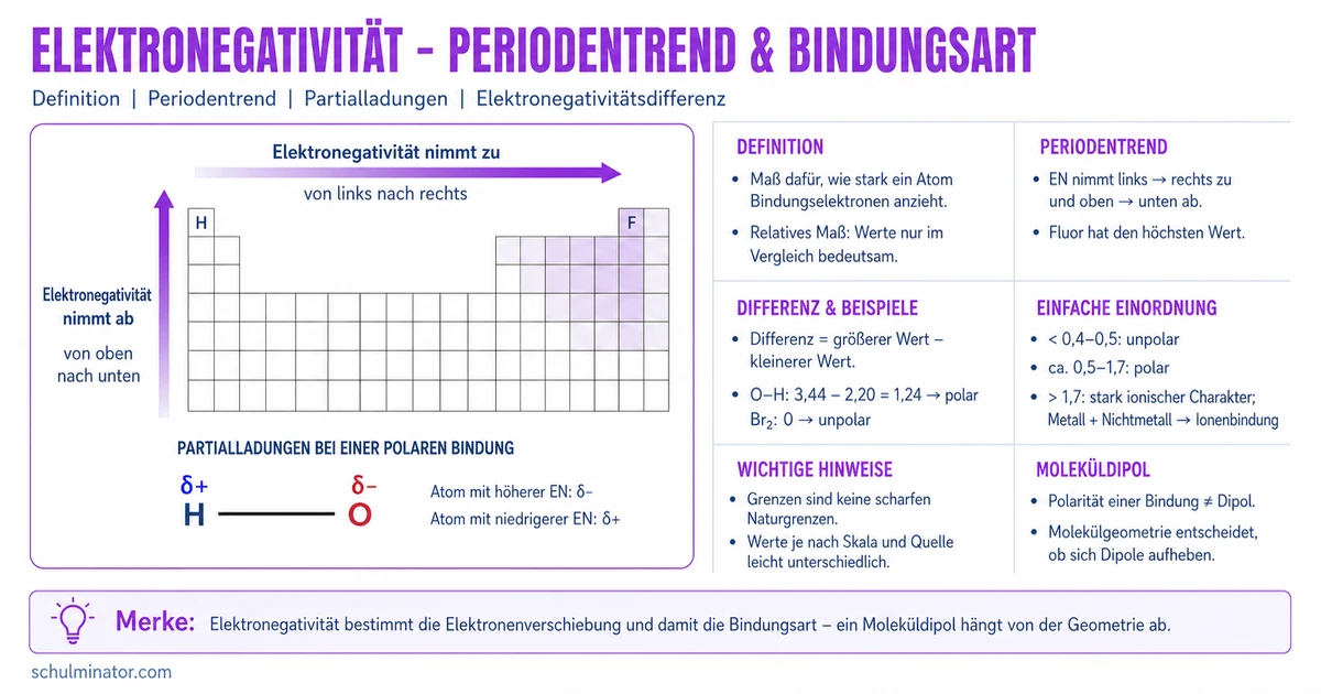 Elektronegativität: Trends und Bindungen erklären