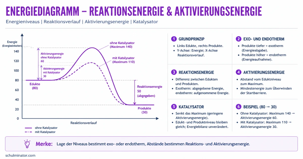 Energiediagramm: exotherm oder endotherm?