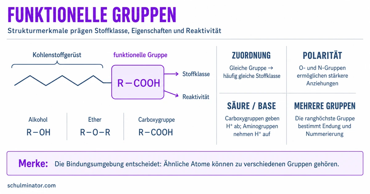 Funktionelle Gruppen erkennen und zuordnen
