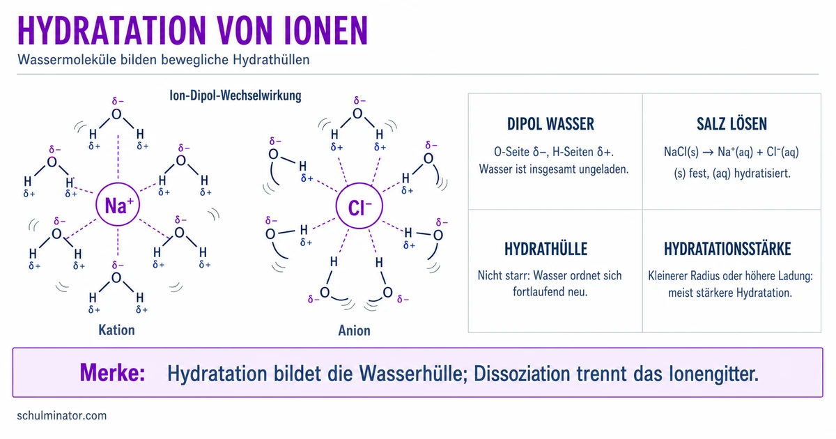 Hydratation: Hydrathülle einfach erklärt
