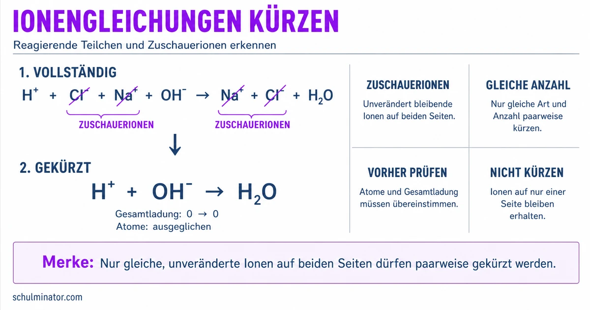 Ionengleichung aufstellen und richtig kürzen