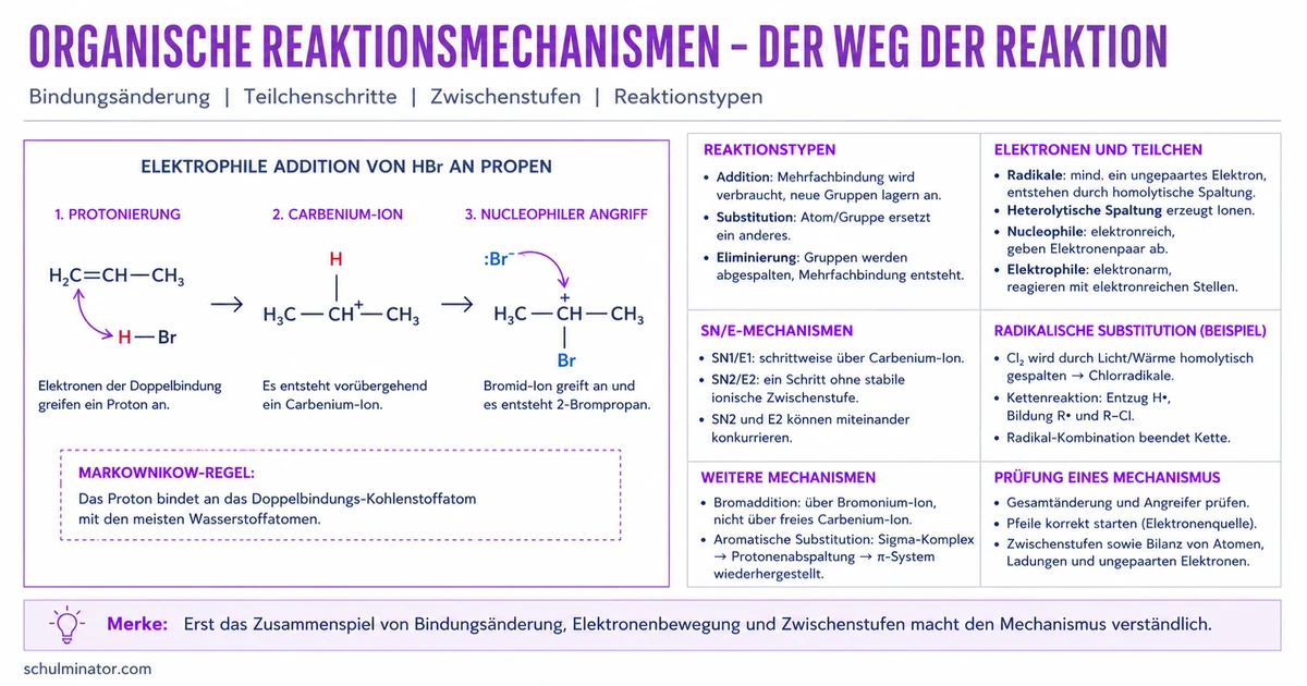 Organische Reaktionsmechanismen einfach erklärt