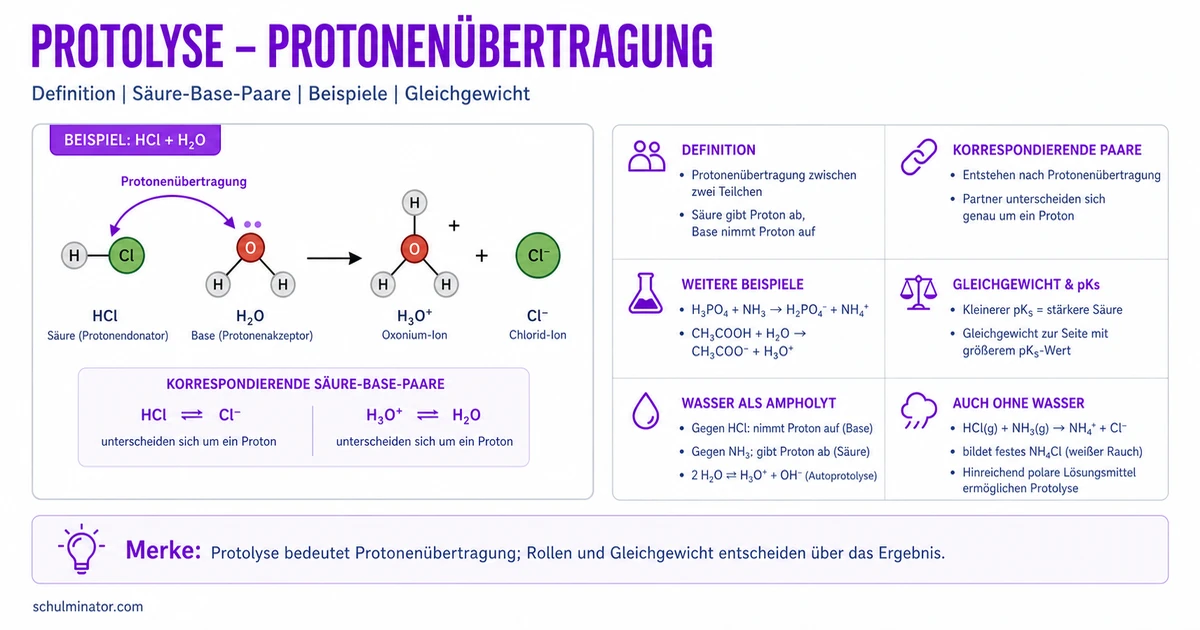 Protolyse: Protonenübertragung einfach erklärt