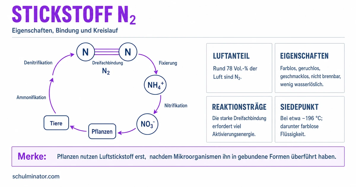 Stickstoff: Eigenschaften, Kreislauf und Nutzung