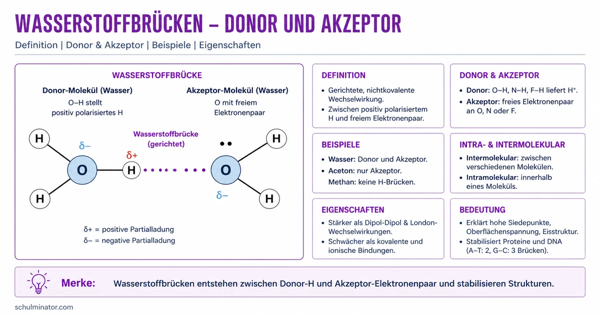 Wasserstoffbrückenbindung einfach erklärt