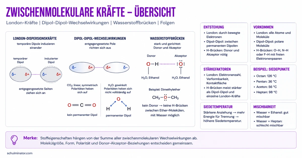 Zwischenmolekulare Kräfte einfach erklärt