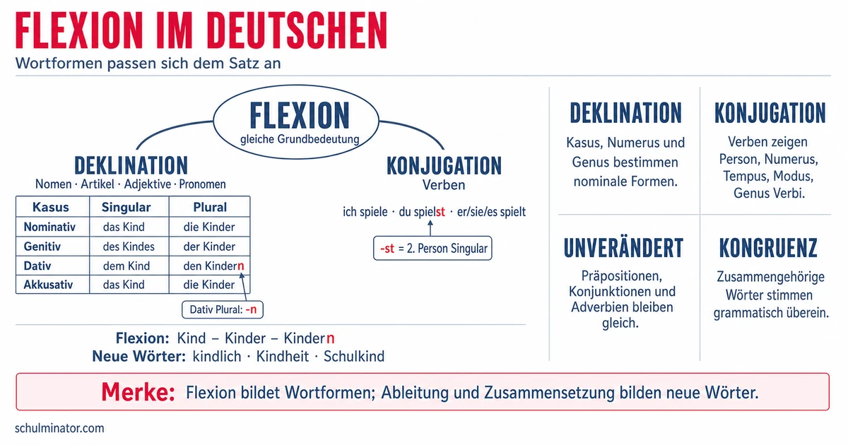Flexion: Deklination und Konjugation erklärt