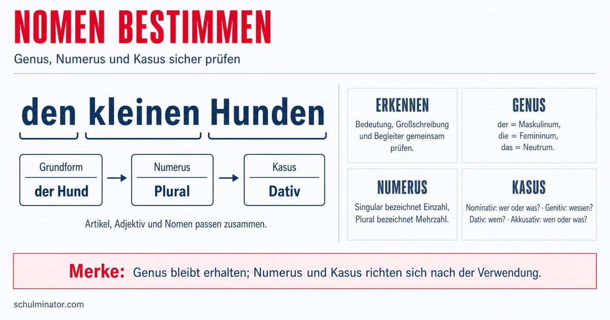 Nomen (Substantive): erkennen und richtig verwenden
