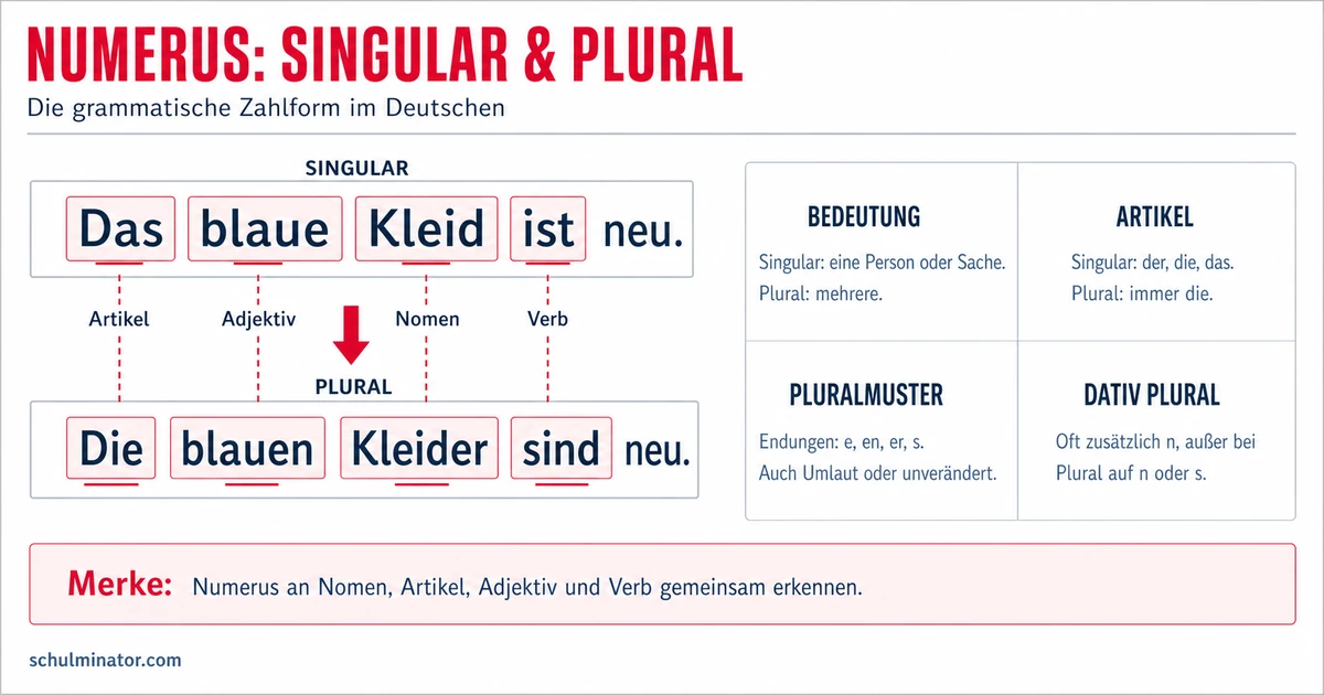 Numerus: Singular und Plural sicher bestimmen