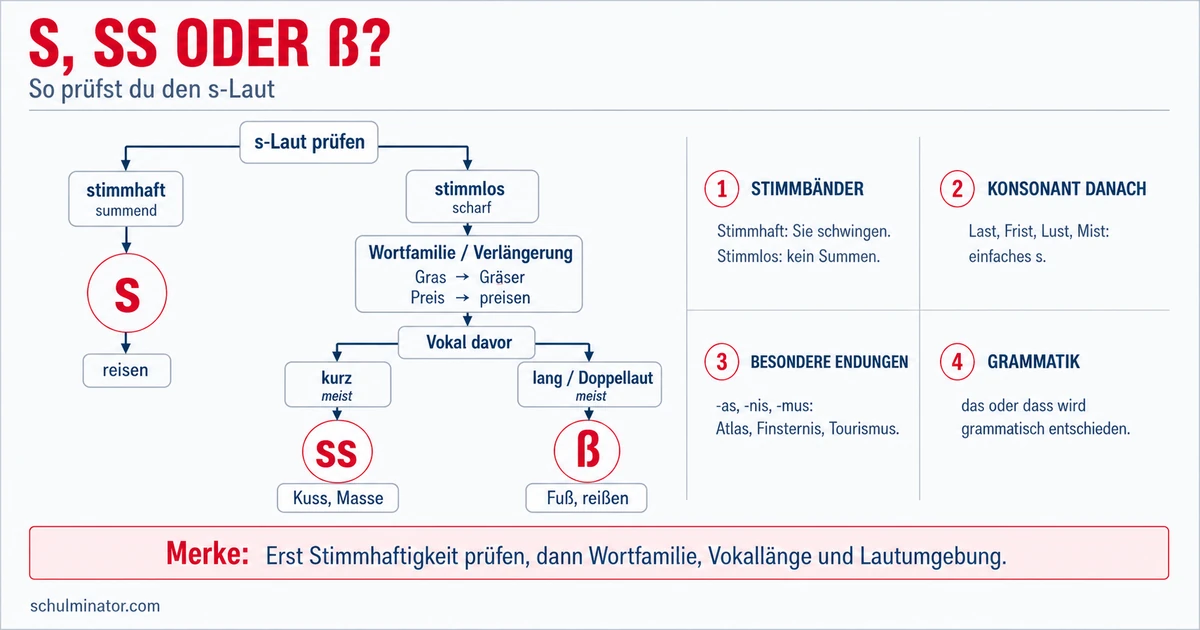 s, ss oder ß: Regeln und Übungen