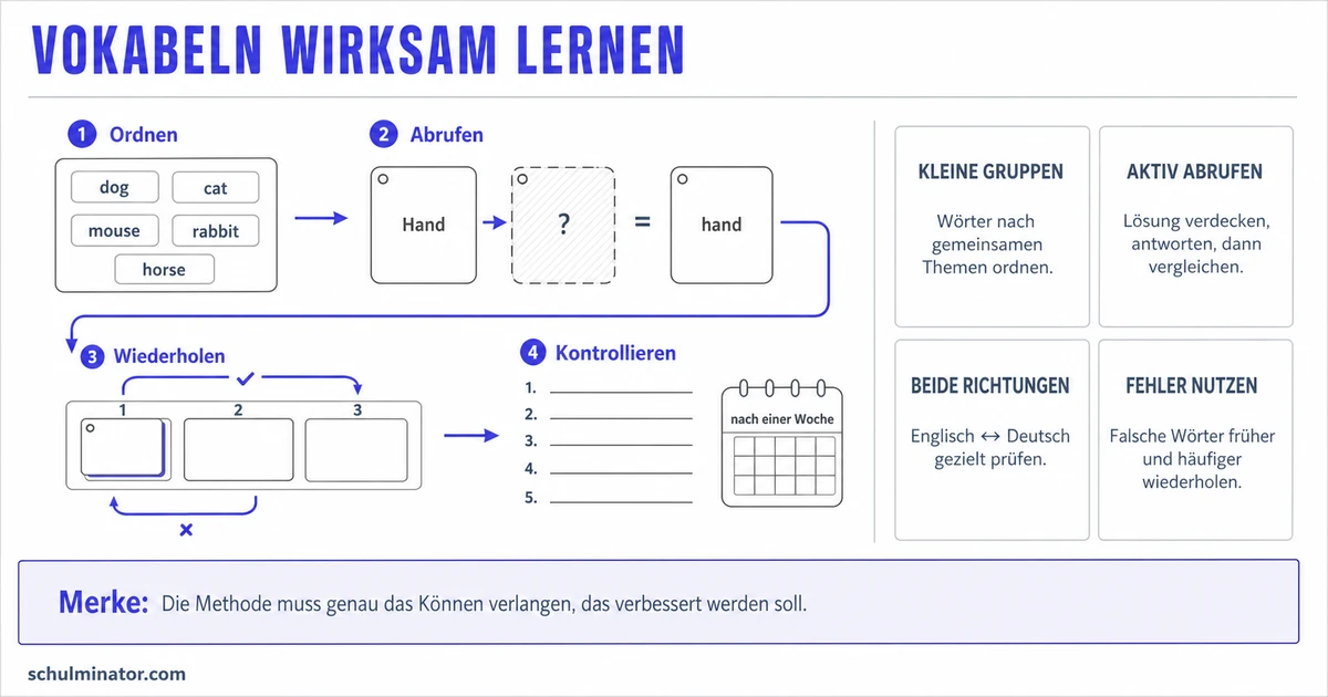 Englisch-Vokabeln lernen in der Grundschule