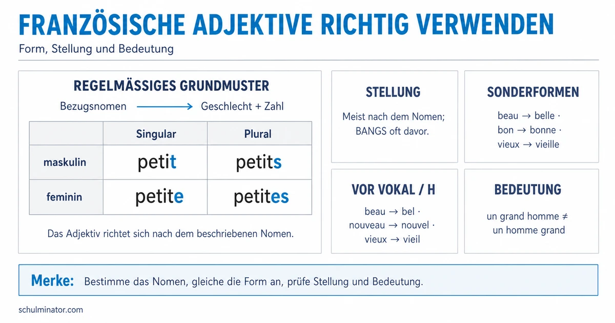 Französische Adjektive: Angleichung und Stellung