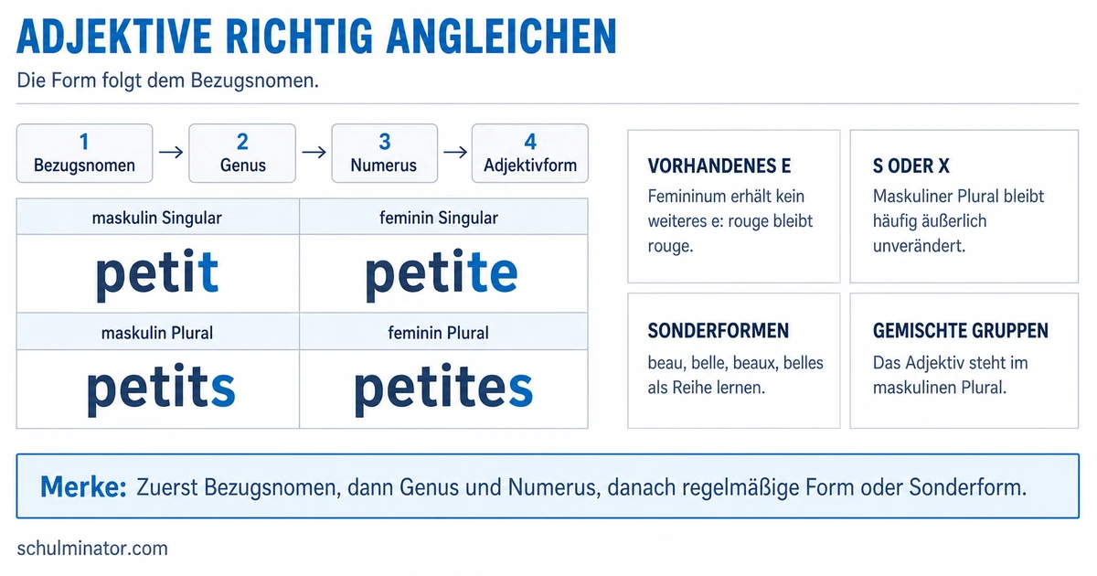 Französische Adjektive richtig angleichen