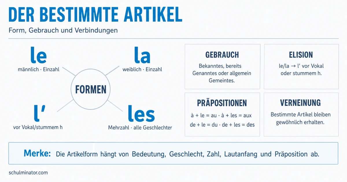 Bestimmter Artikel im Französischen: le, la, l’ und les