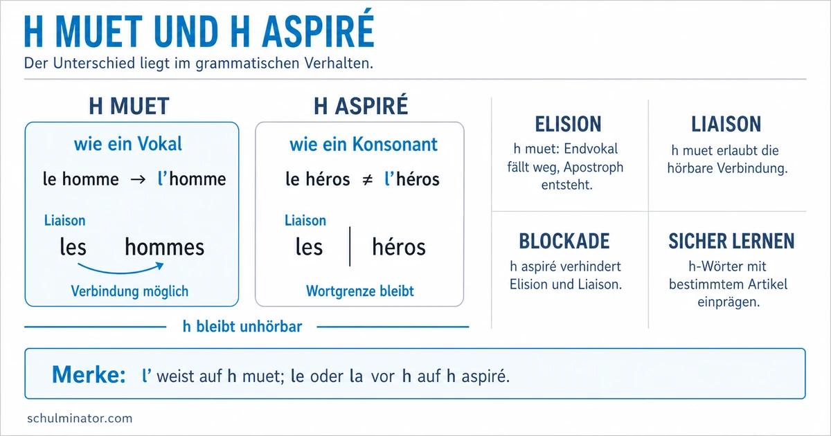 H aspiré: Regeln, Beispiele und Übungen