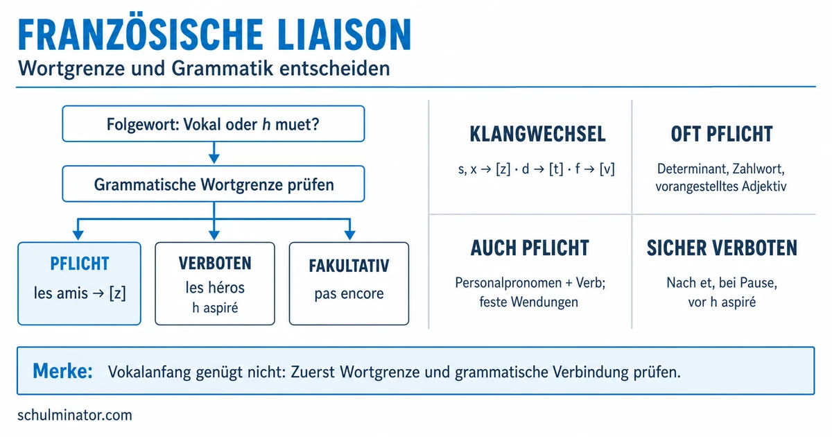 Französische Liaison: Regeln und Beispiele