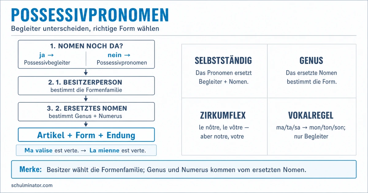Possessivpronomen im Französischen einfach erklärt