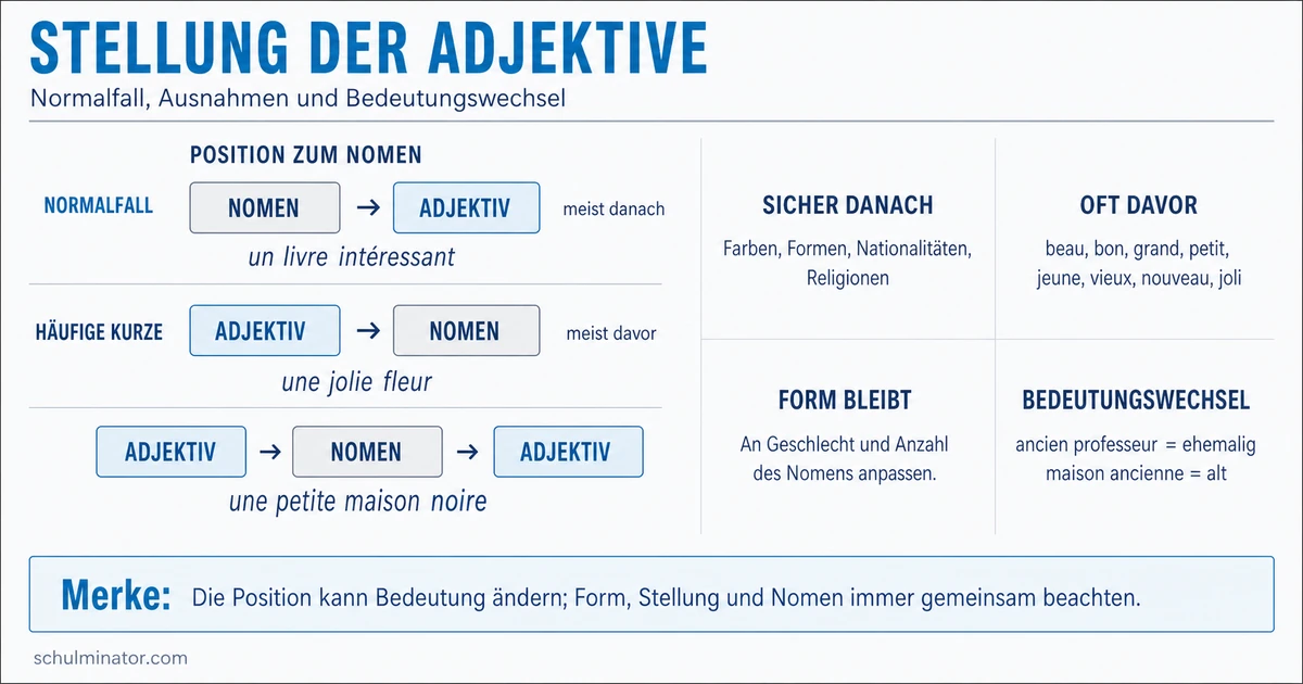 Stellung französischer Adjektive einfach erklärt