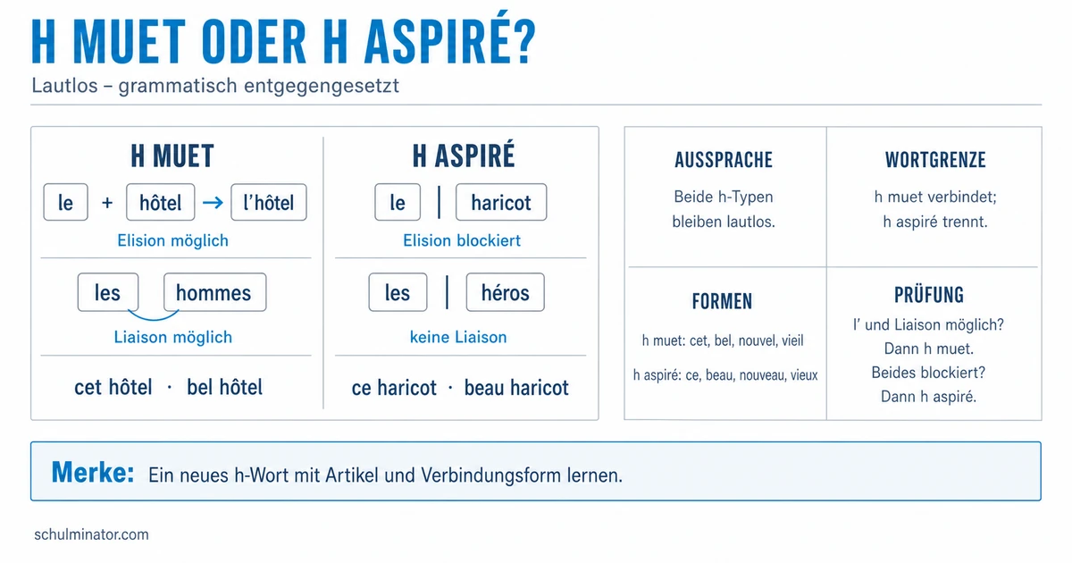 Stummes h im Französischen: Elision und Liaison