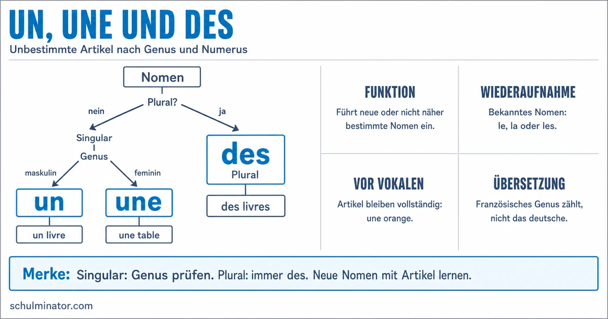 Unbestimmter Artikel im Französischen: un, une, des