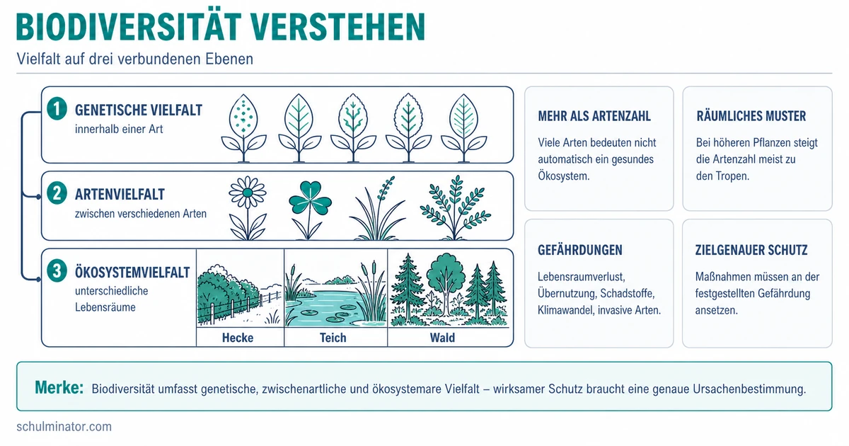 Biodiversität: Bedeutung, Verteilung und Schutz