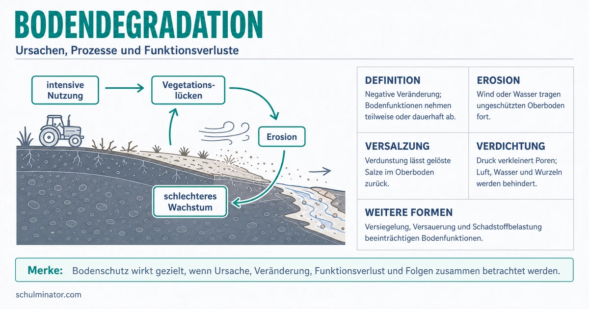 Bodendegradation: Ursachen, Folgen und Schutz