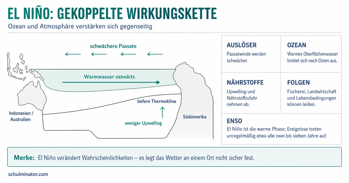 El Niño: Entstehung, Ablauf und Folgen