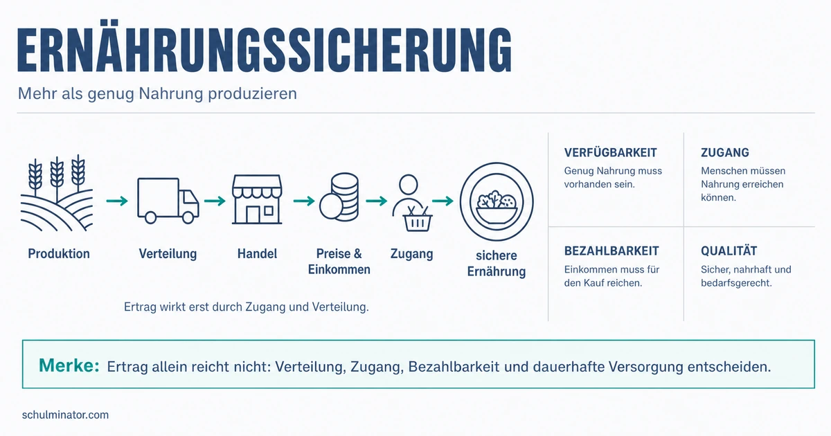 Ernährungssicherung: Ursachen und Lösungen