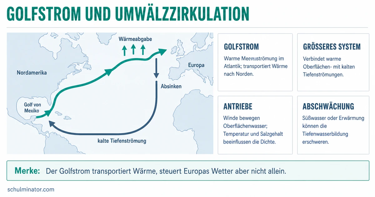 Golfstrom: Verlauf, Antrieb und Klimawirkung