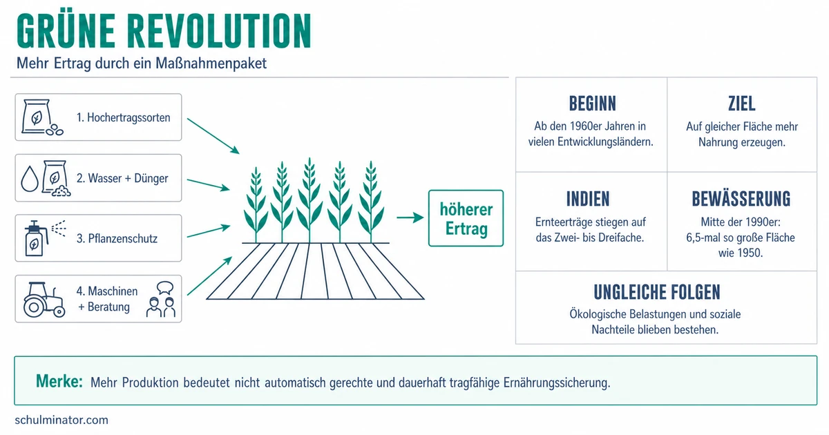 Grüne Revolution: Maßnahmen, Folgen und Indien