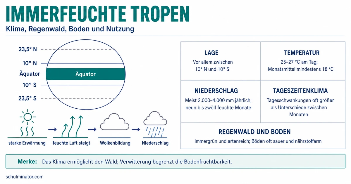 Immerfeuchte Tropen: Klima, Wald und Nutzung