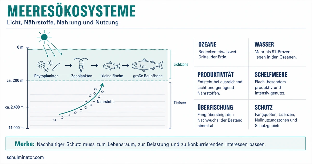 Meeresökosystem: Lebensräume, Nutzung und Schutz