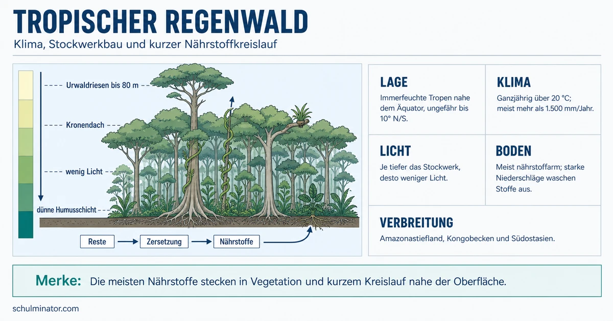 Tropischer Regenwald: Klima, Boden und Nutzung