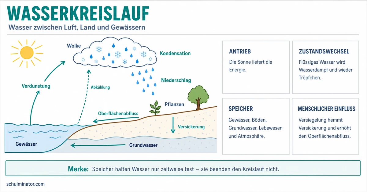Wasserkreislauf einfach erklärt: Ablauf und Folgen