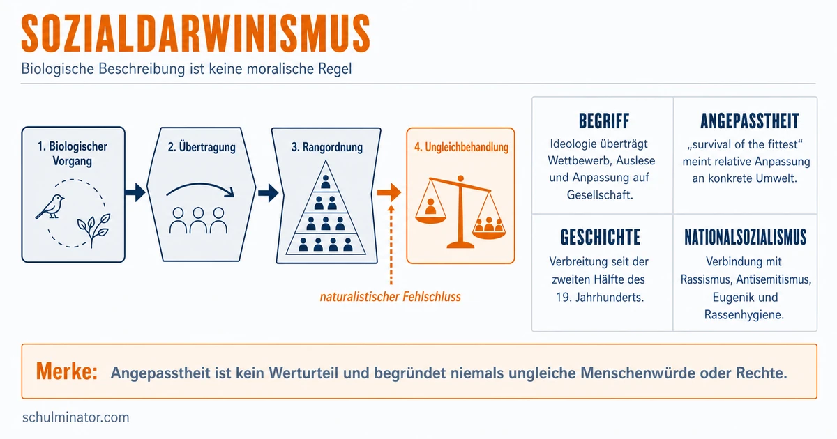 Sozialdarwinismus: Ideologie erkennen und prüfen