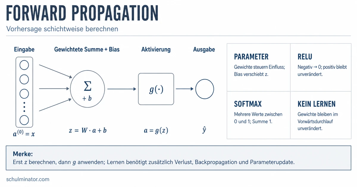 Forward Propagation einfach erklärt und berechnet
