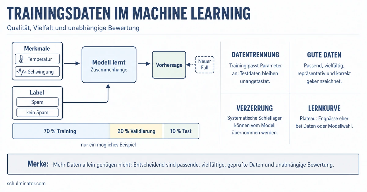Trainingsdaten: Qualität, Aufteilung und Bias