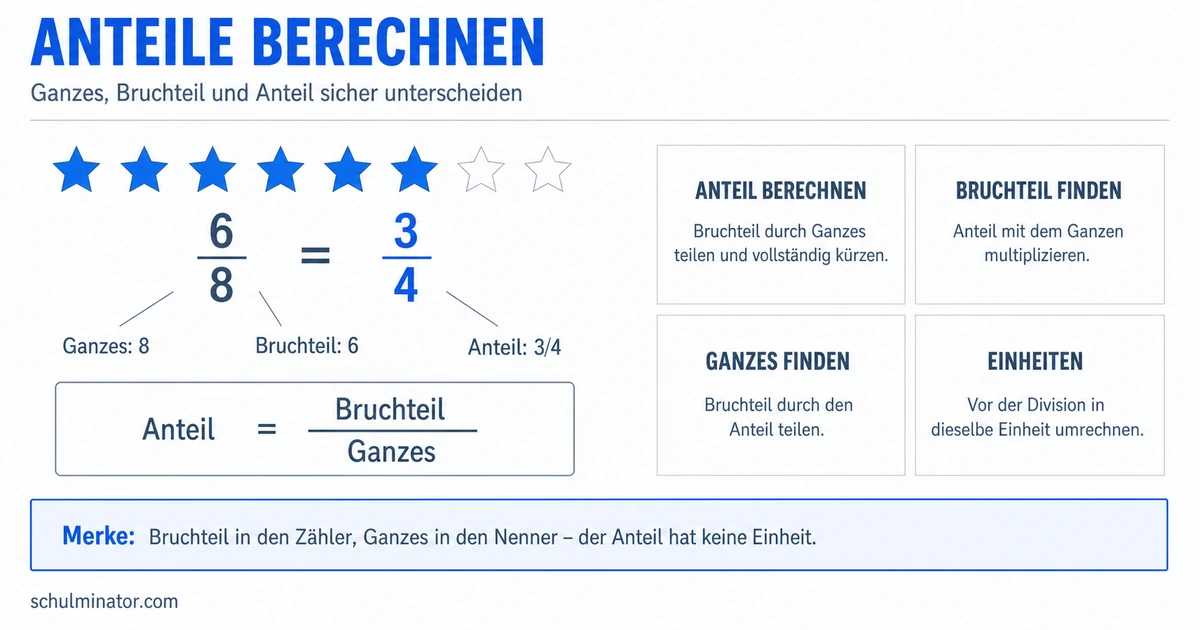 Anteile berechnen: Bruchteil, Ganzes und Prozent