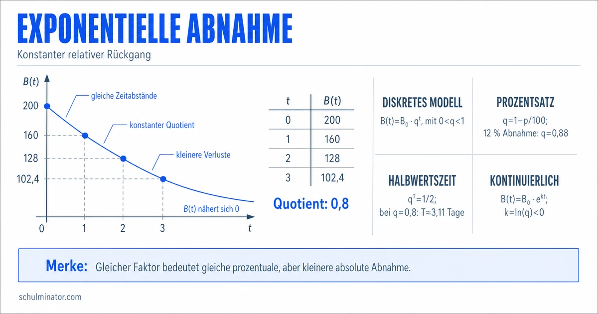 Exponentielle Abnahme verstehen und modellieren